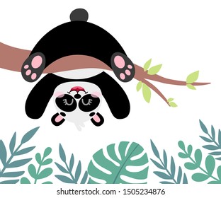 Cartoon vector panda in hand drawn style, isolated on white background. Black and white bear, animal for children's and kids books, print, poster, stickers, fabric.