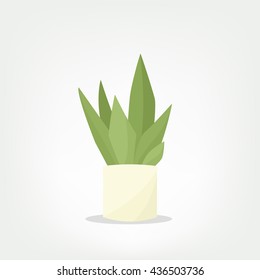 cartoon vector pot plant