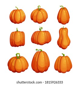 cartoon vector pumpkin set. Thanksgiving cute clipart. Autumn symbol collection. Vegetable graphic isolated on white background