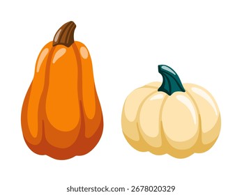 Calabazas de Vector de dibujos animados en estilo otoño. Vector aislado ilustración sobre fondo blanco.