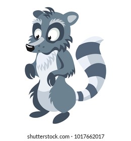 Cartoon vector raccoon character