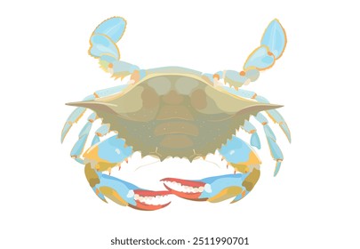 Cartoon vector raw Blue Crab isolated on White background. Sea food icon illustration.