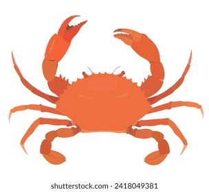 Cartoon vector red crab isolated on White background. Sea food illustration.