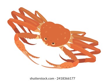 Cartoon vector red snow crab isolated on White background. Sea food illustration.