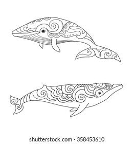 Cartoon vector sea whale. Vector sketch doodle line art.