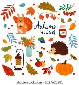 Cartoon vector set of autumn icons: squirrel, hedgehog, pumpkin, falling leaves, cozy food, flashlight and jam. Lettering. Scrapbook elements. Bright background for harvesting.