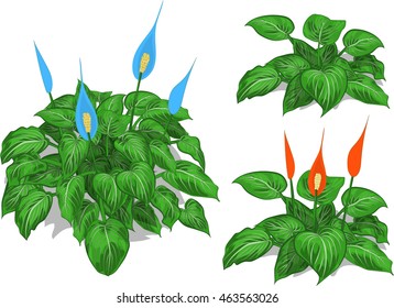 Cartoon vector set of callas bushes and red, blue, white flowers isolated on white background