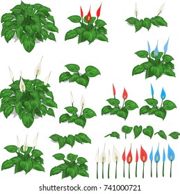 Cartoon vector set of grass bushes and red, blue, white flowers isolated on white background