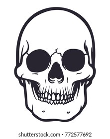 cartoon vector skull