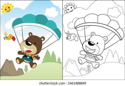 cartoon vector of skydiving cute bear with bird, coloring book or page