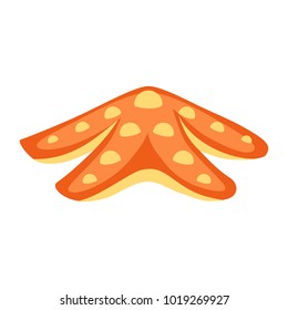 Cartoon vector starfish