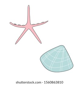 Cartoon vector starfish and seashell.