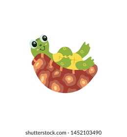 Cartoon vector turtle in various action poses