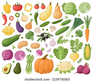 Cartoon vegetable, celery, zucchini, onion, carrot and cauliflower. Fresh organic vegetable, vegetarian food cabbage and cucumber. Vegetables vector isolated symbols set