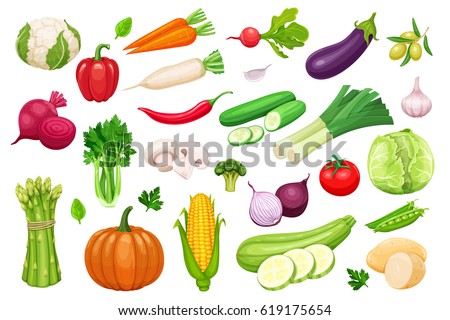 Cartoon vegetable icons set including carrot, cabbage, pumpkin, corn, broccoli, onion and pepper. Colorful farm food elements for menu design, grocery packaging, product label, market poster and restaurant branding. Vector illustration.