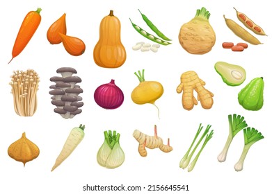 Cartoon vegetables, beans and mushrooms. Vector carrot, butternut pumpkin, shallots and celery tuber. Broad beans, enoki and oyster mushrooms, onion, ginger root and chayote or jicama with parsnips