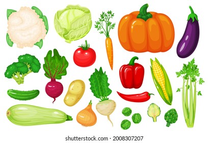 Cartoon vegetables. Carrot, corn, pepper, celery, cauliflower, broccoli, beetroot, onion, cucumber. Fresh organic vegetable vector set Farm organic veggies for market isolated on white