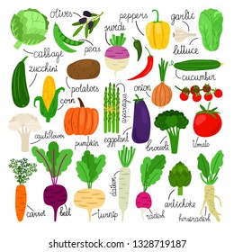 Cartoon vegetables collection. Vegetale vector objects isolated, carrot and radish, garlic and pepper, corn and zucchini fresh vegets