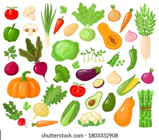 Cartoon vegetables. Vegan veggies food, tomato, pumpkin, zucchini and carrot, vegetarian fresh raw vegetable vector illustration icons set. Vegetarian zucchini and carrot, pumpkin vegetable