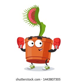 cartoon Venus flytrap plant in a pot mascot in red boxing gloves on white background