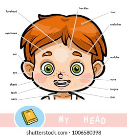 Cartoon visual dictionary for children about the human body. My head parts for a boy. 