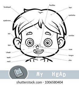 Cartoon visual dictionary for children about the human body. My head parts for a boy. 