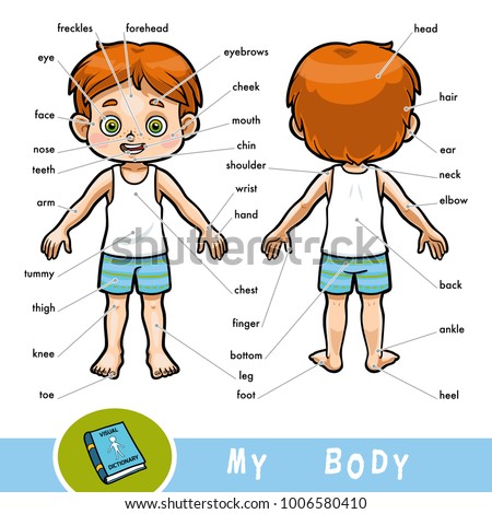 Cartoon visual dictionary for children about the human body. My body parts for a boy. 
