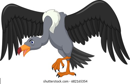 Cartoon vulture bird on white background