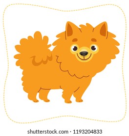 Cartoon wallking dog: pomeranian Spitz. Vector illustration. Isolated on white background.
