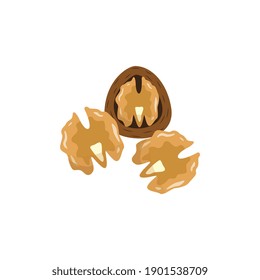 Nueces de caricatura dentro y fuera de la cáscara - ilustración de comida aislada en fondo blanco. Tres nueces sin cáscara y cortadas en mitad, simple dibujo vectorial.
