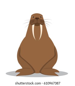 Cartoon walrus with big tusks