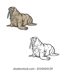 cartoon walrus drawing with line art style. simple design outline style. vector illustrations