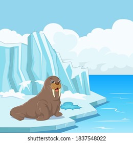 Cartoon walrus floating on ice