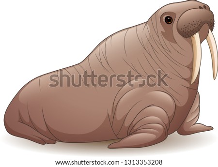 Cartoon walrus isolated on white background
