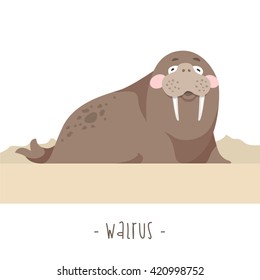 Cartoon walrus lying on the shore isolated on white background