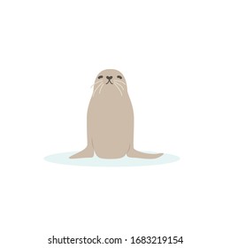 Cartoon walrus, seal. Cute walrus goose, Vector illustration on a white background. Drawing for children.