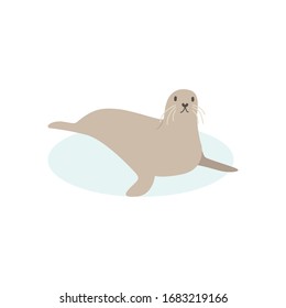 Cartoon walrus, seal. Cute walrus goose, Vector illustration on a white background. Drawing for children.