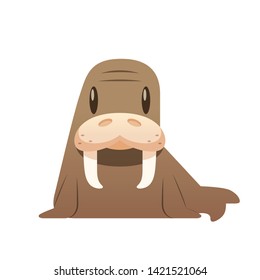 Cartoon walrus vector isolated illustration