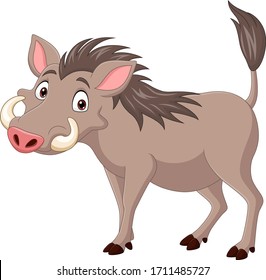 Cartoon warthog isolated on white background