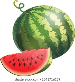 Cartoon Watermelon Slice Icon Vector Illustration Summer Fruit
