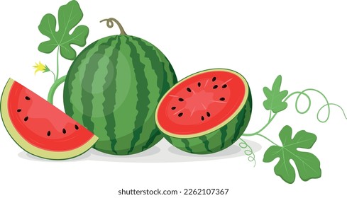 Cartoon watermelon slices and triangles shape