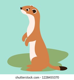  cartoon weasel vector illustration flat style profile view
