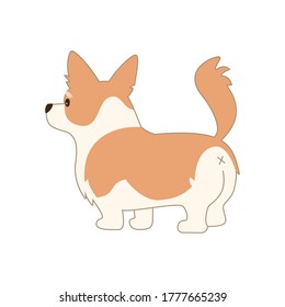 Cartoon welsh corgi on white background. Vector illustration.