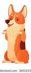 Cartoon welsh corgi pembroke sitting on hind legs, playfully sticking out its tongue, exuding happiness and charm, creating a delightful scene against a clean white background
