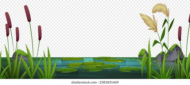 Cartoon wetland border with lily pads floating on dirty water - marsh landscape decorated with brown cattails, green reeds, gray stones with moss. Natural swamp environment scene for game background.