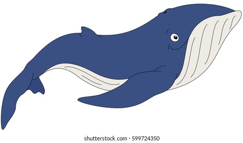 Cartoon whale for babies and little kids. Picture isolated on white background