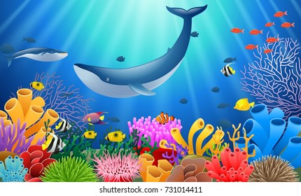 Cartoon whale with Coral Reef Underwater in Ocean. Vector illustration