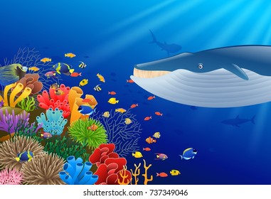 Cartoon whale with Coral Reef Underwater in Ocean. Vector illustration