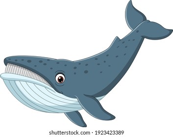 Cartoon whale isolated on white background