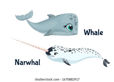 Cartoon whale and narwhal ocean set for print design. Vector sea collection illustration with whale and narwhal on white background. Marine life. ocean set cute wildlife animal characters great design